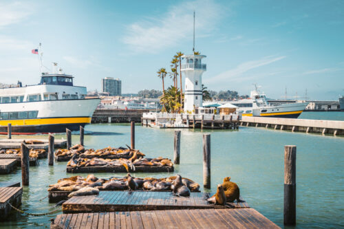 Muelle 39 de San Francisco