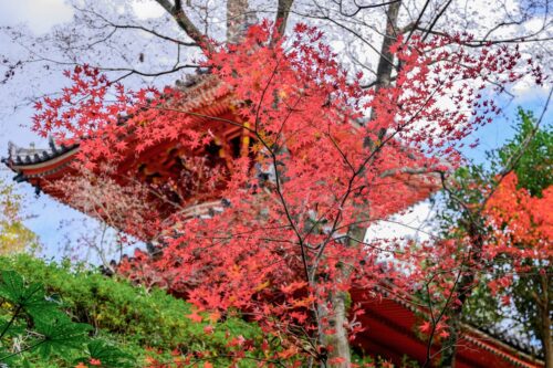 Mitakidera, Hiroshima