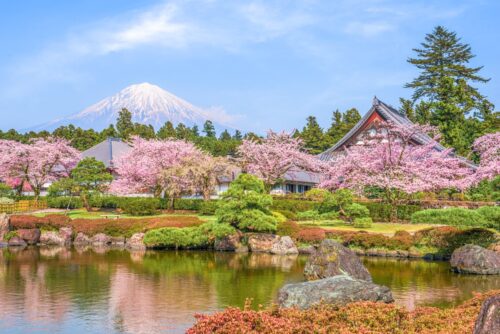 Fujinomiya, Mont Fuji